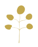 体育资讯 - 九游体育APP